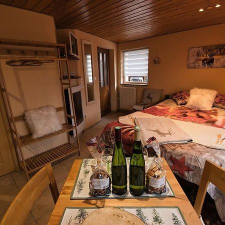 Les Chouchous Du Ried 3 / Proche Europapark Apartman Saasenheim Kültér fotó