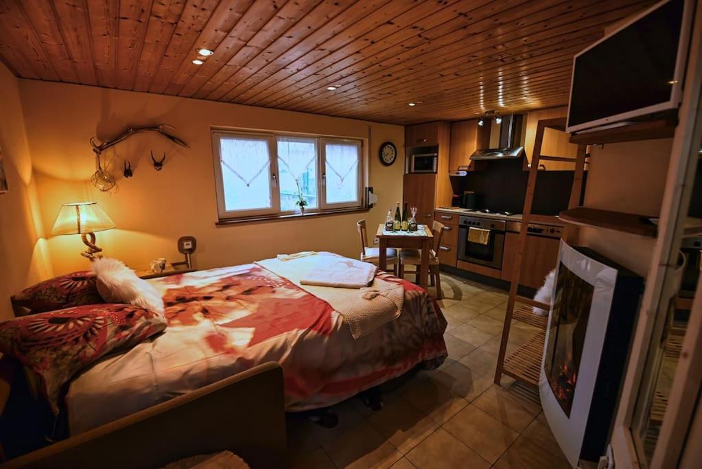 Les Chouchous Du Ried 3 / Proche Europapark Apartman Saasenheim Kültér fotó